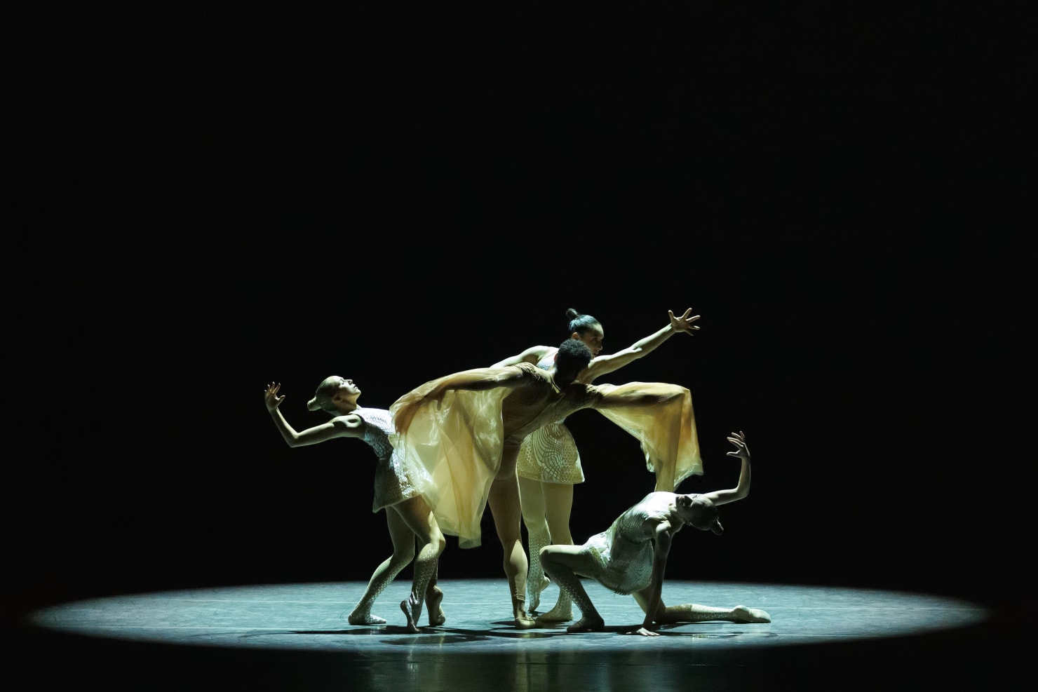 Foreseeable Future | New York City Ballet